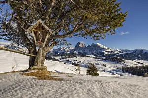 Alpe di Siusi at the Contrin hut