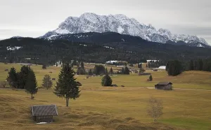 Alpine grassland with Karwendel Mountains
