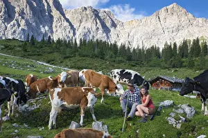 Alpine herdsmen look after their cows