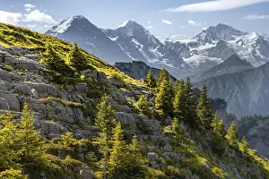 Alpine landscape, Eiger, Moench and Jungfrau