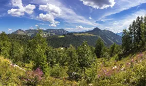 Alpine landscape on the Trattbergalm