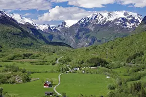 Alpine meadows in a wide landscape and snowy mountains