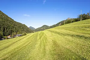 Alpine mountain pasture in the Hintergebirge or Limestone Alps in upper Austria