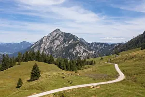 Category Mountain Landscapes Prints: Alpine pasture area on the Postalm with Rinnkogel