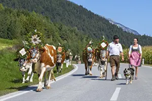 Alpine pasture descent through the village of Terfens