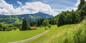 Alpine pasture landscape, behind it the Gruenten