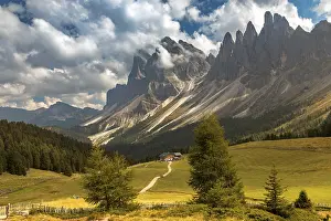 Alpine pasture on the Rasciesa in front of the Odle peaks