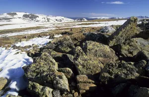 Alpine tundra in Rocky Mountains National Park