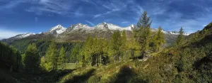 Alps