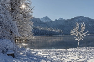 Alpsee, Schwangau, Ostallgaeu, Swabia