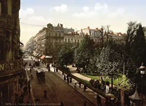 Alsace-Lorraine Street, Toulouse
