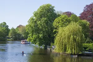 Alster steamer, boat and trees at the Lange Zug in spring