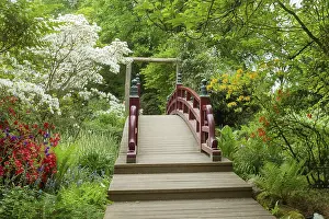 Amazing Japanese garden in Leverkusen in May
