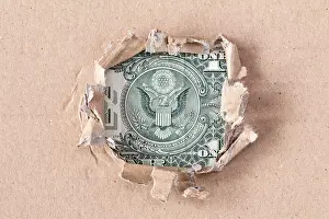 American currency dollar bill eagle