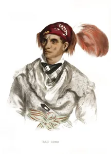 American Indian, Native American