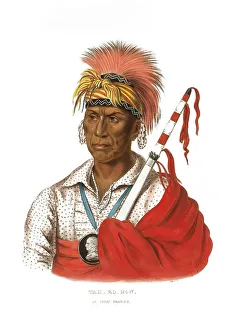 American Indian, Native American