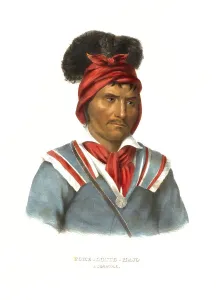 American Indian, Native American