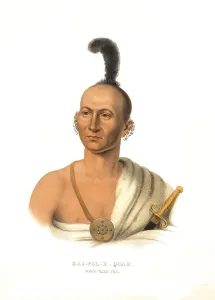 American Indian, Native American