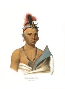 American Indian, Native American