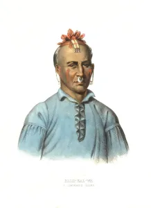 American Indian, Native American
