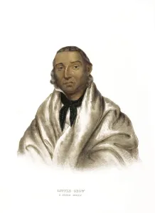 American Indian, Native American