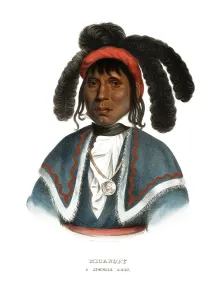 American Indian, Native American