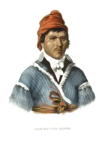 American Indian, Native American