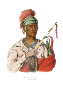 American Indian, Native American