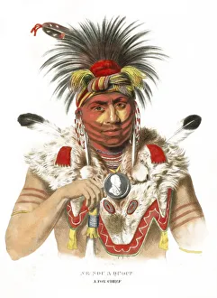 American Indian, Native American