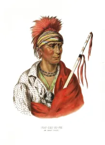 American Indian, Native American