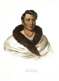 American Indian, Native American