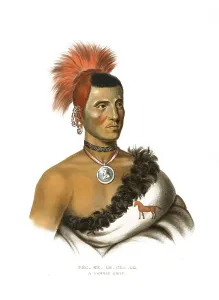 American Indian, Native American