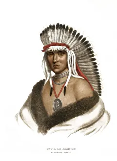 American Indian, Native American