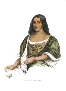 American Indian, Native American