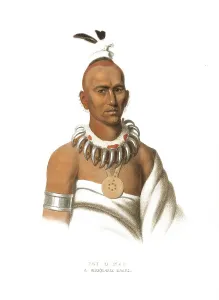 American Indian, Native American