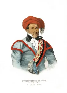 American Indian, Native American