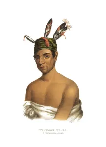 American Indian, Native American