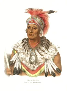 American Indian, Native American