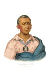 American Indian, Native American