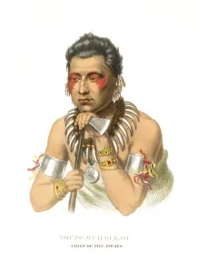 American Indian, Native American