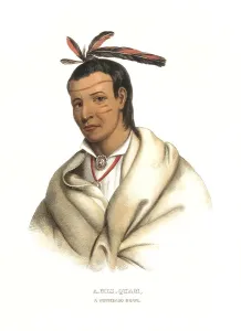 American Indian, Native American