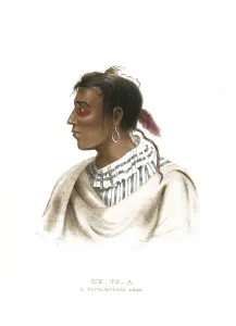 American Indian, Native American
