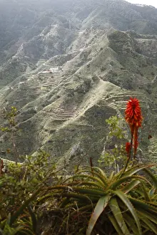 Anaga Mountains, Tenerife, Canary Islands