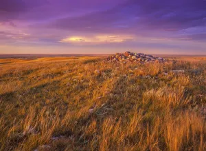 The ancient Majorville Medicine Wheel archaeological site in southeastern Alberta
