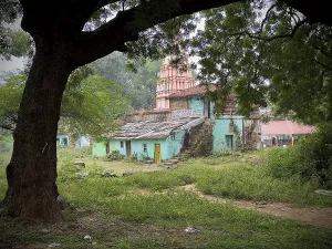 Ancient temple framed by large trees and nature