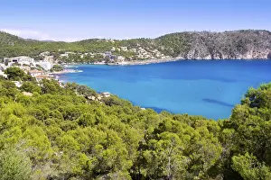 Andratx Camp de Mar in Mallorca Balearic Islands pines and mountains bay