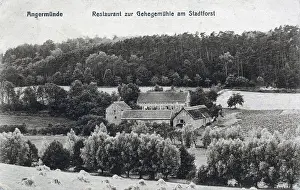Angermunde, restaurant am Stadtforst