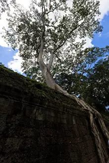 Angkor thom, the best archeological site, Cambodia