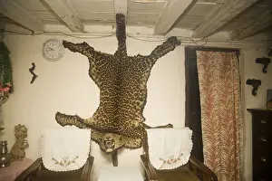 Animal skin of cheetah