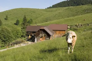 Anlaufalm, alpine pasture, Kalkalpen National Park